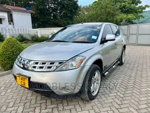 Nissan Murano 2004 Silver