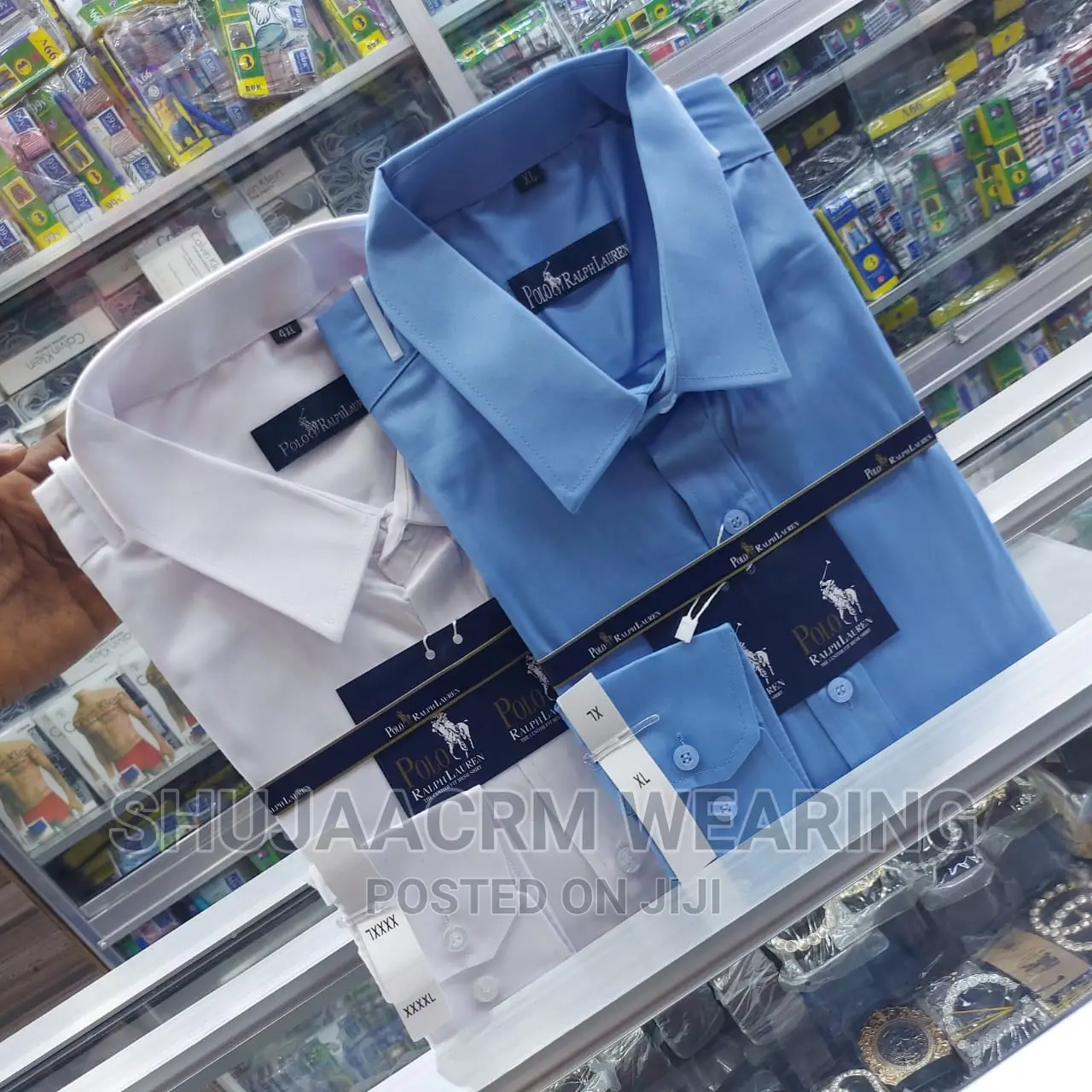 Officila Pollo Cotton Shirt