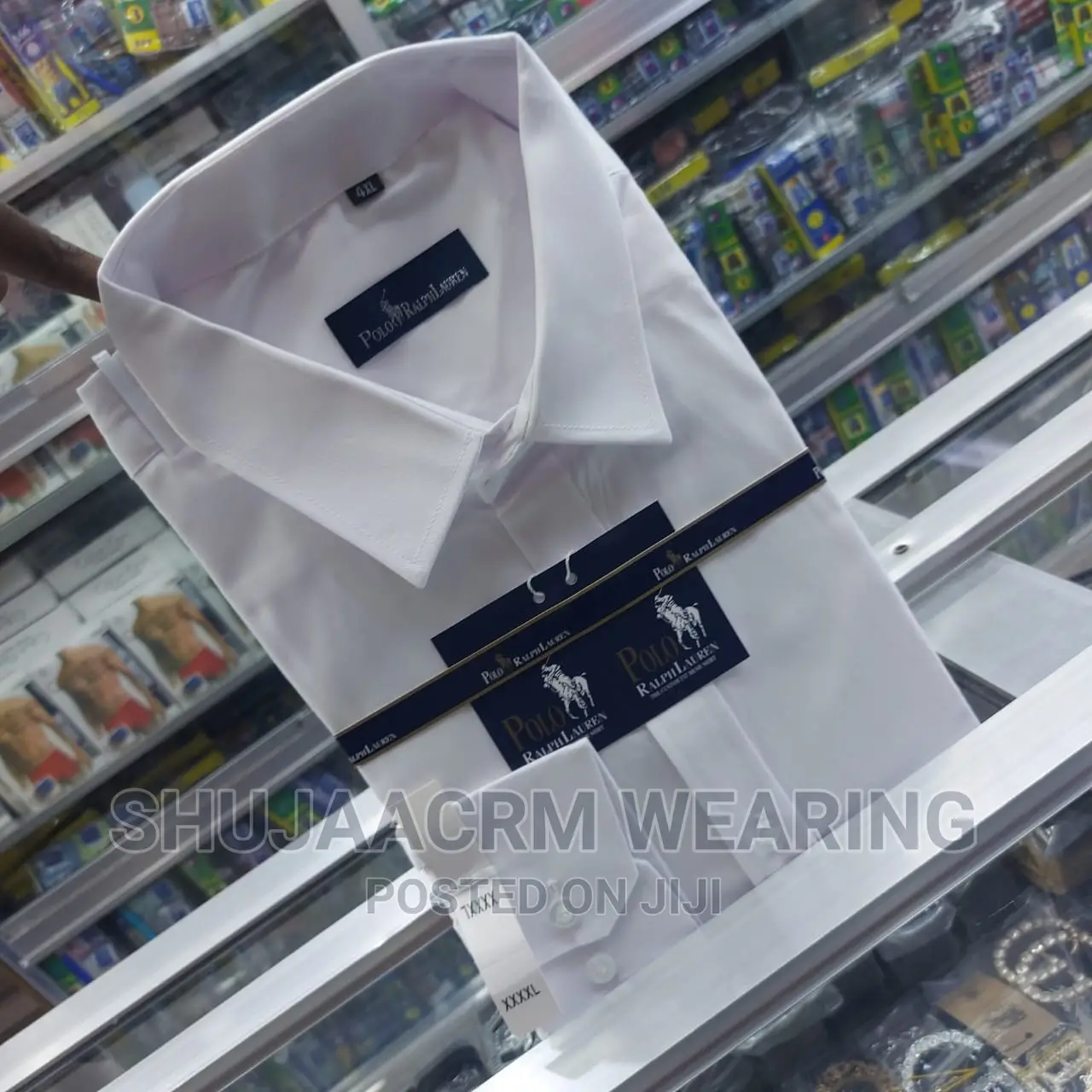 Officila Pollo Cotton Shirt