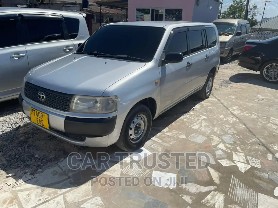 Toyota Probox 1.3 DX 2WD 2004 Silver
