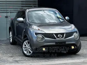 Nissan Juke 2012 Gray