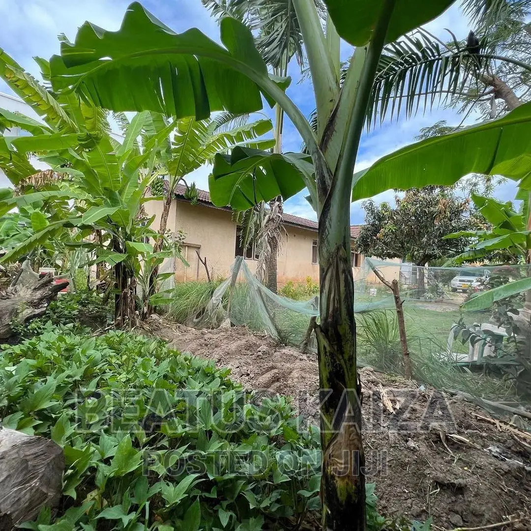 4bdrm Bungalow in Mbezi Beach Renbow, Kinondoni for sale