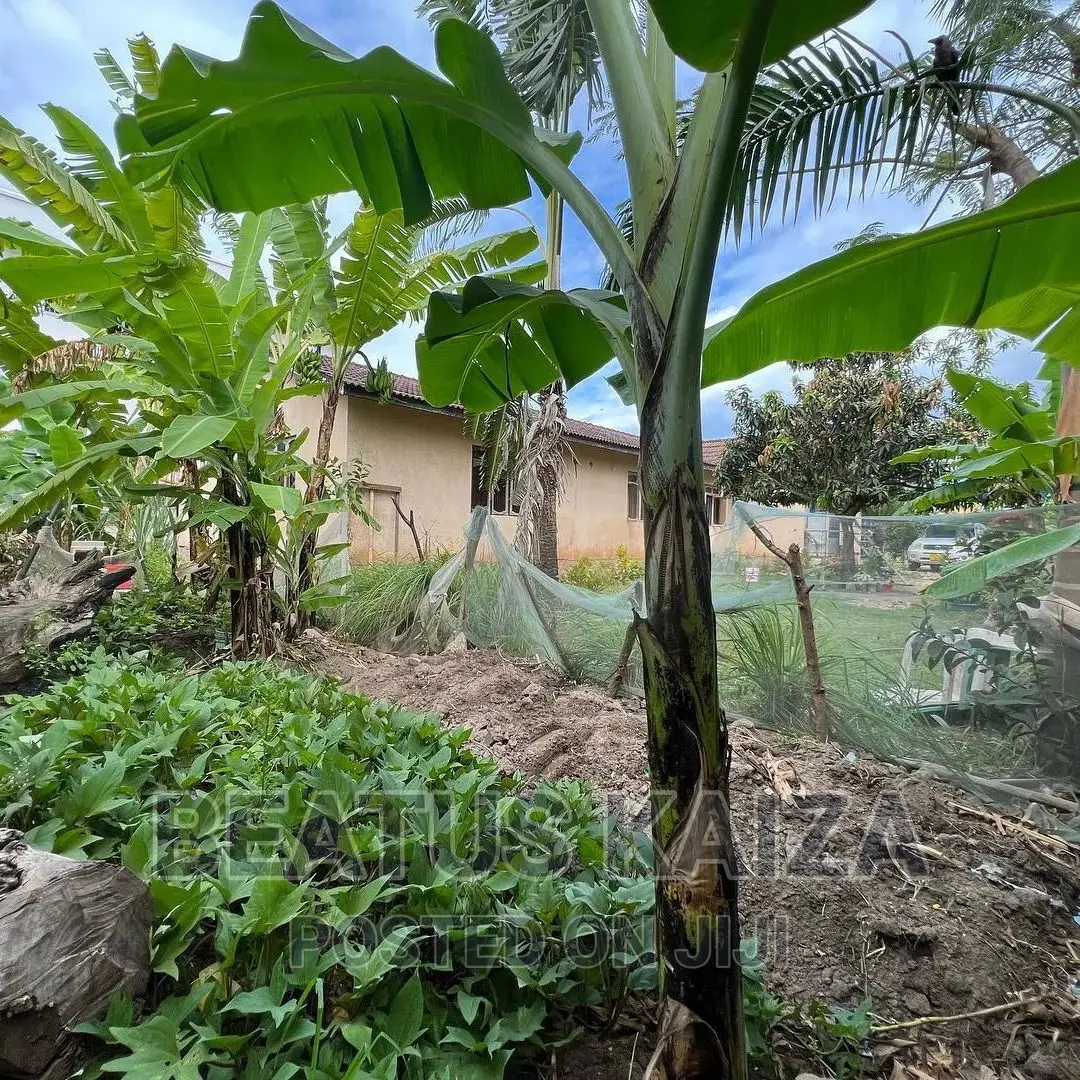 4bdrm Bungalow in Mbezi Beach Renbow, Kinondoni for sale