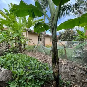 4bdrm Bungalow in Mbezi Beach Renbow, Kinondoni for sale