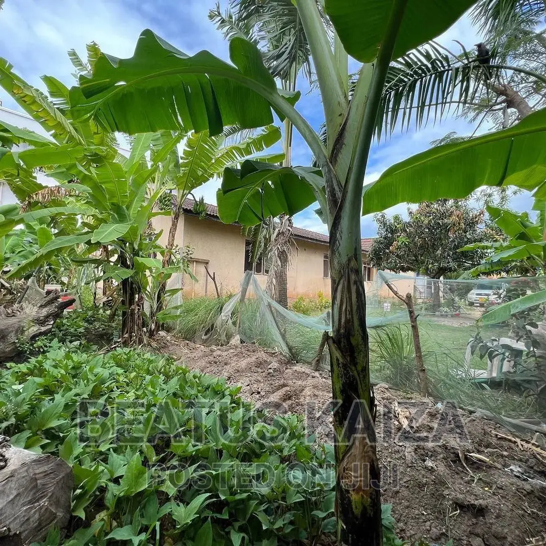 4bdrm Bungalow in Mbezi Beach Renbow, Kinondoni for sale