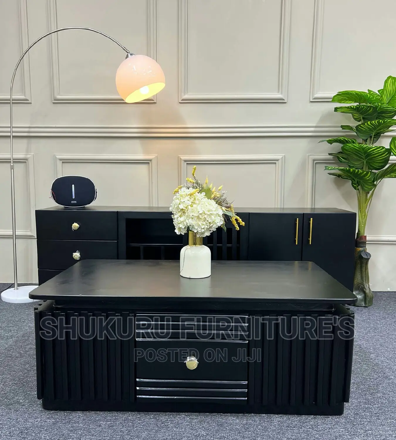 Tv Stand and Coffee Table