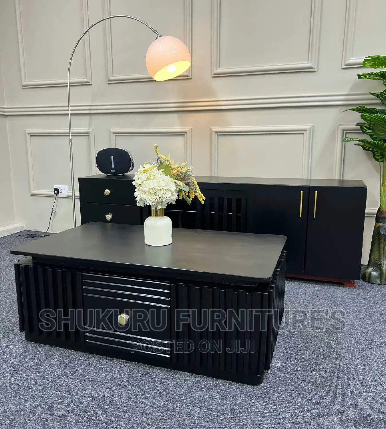 Tv Stand and Coffee Table