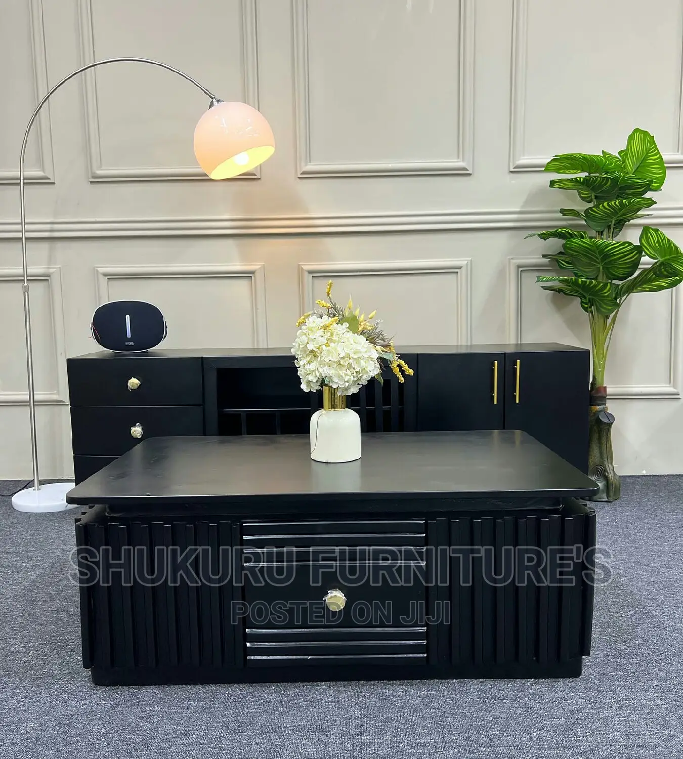 Tv Stand and Coffee Table