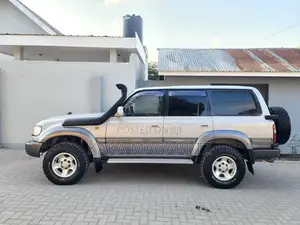 Toyota Land Cruiser 2000 Gray