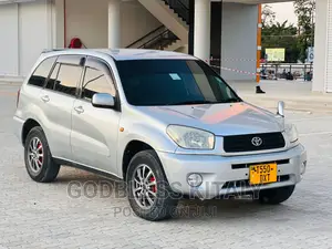 Toyota RAV4 2002 Silver