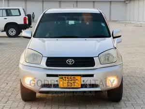 Toyota RAV4 2002 Silver