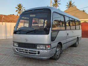 Toyota Coaster 2002 Grey