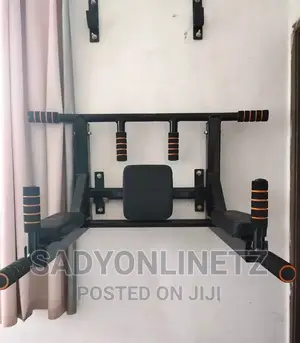 Wall Mounted Pull Up Bar