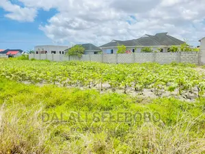 Plot Sale at Kigamboni Kibada 
