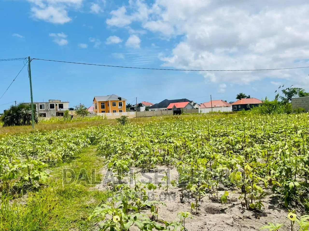 Plot Sale at Kigamboni Kibada 
