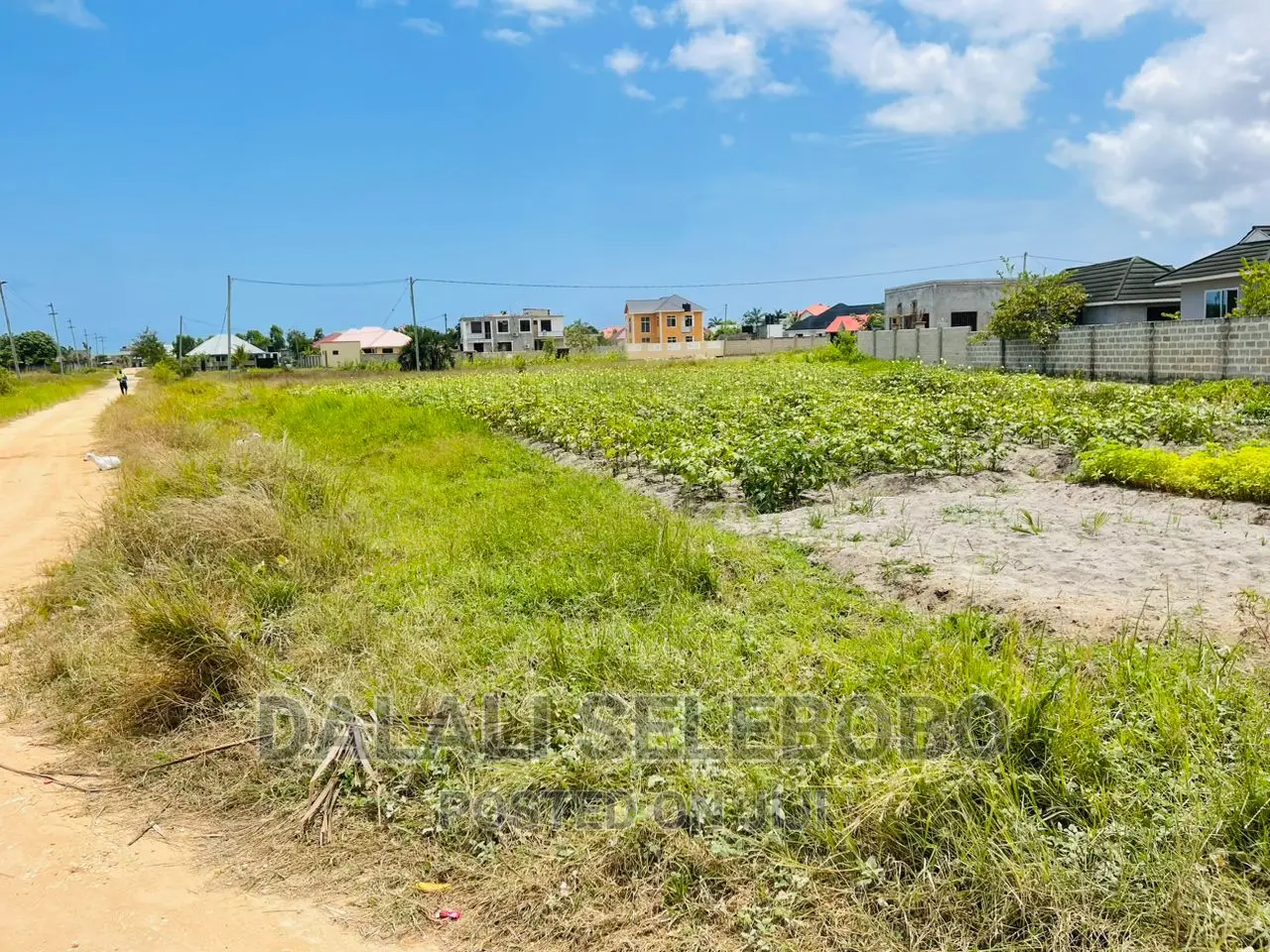 Plot Sale at Kigamboni Kibada 