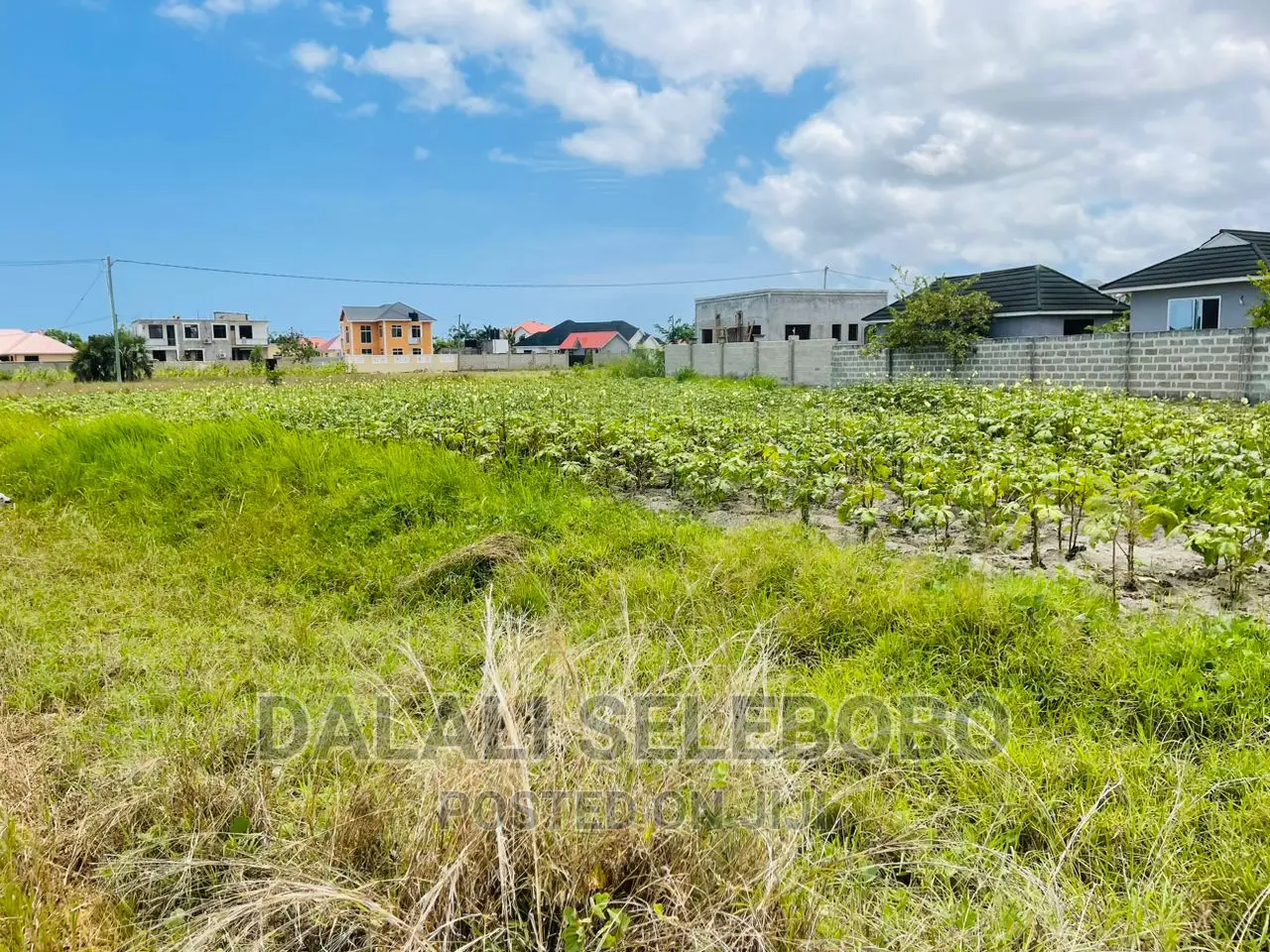 Plot Sale at Kigamboni Kibada 
