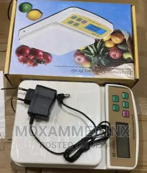Electronic Compact Scale
