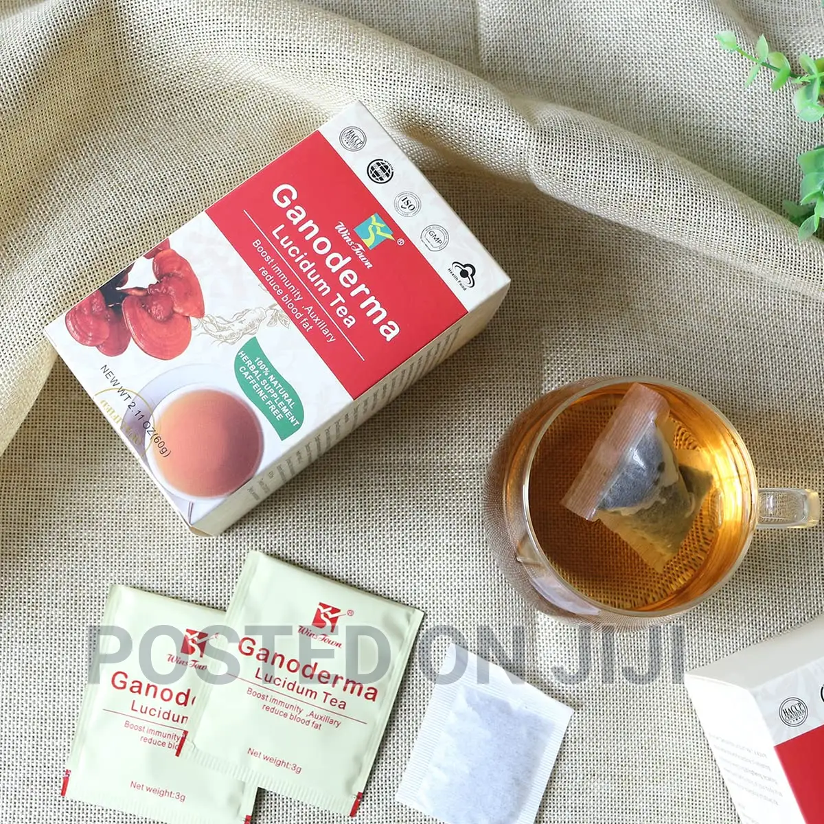 Ganoderma Tea