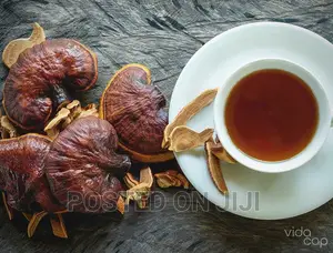 Ganoderma Tea