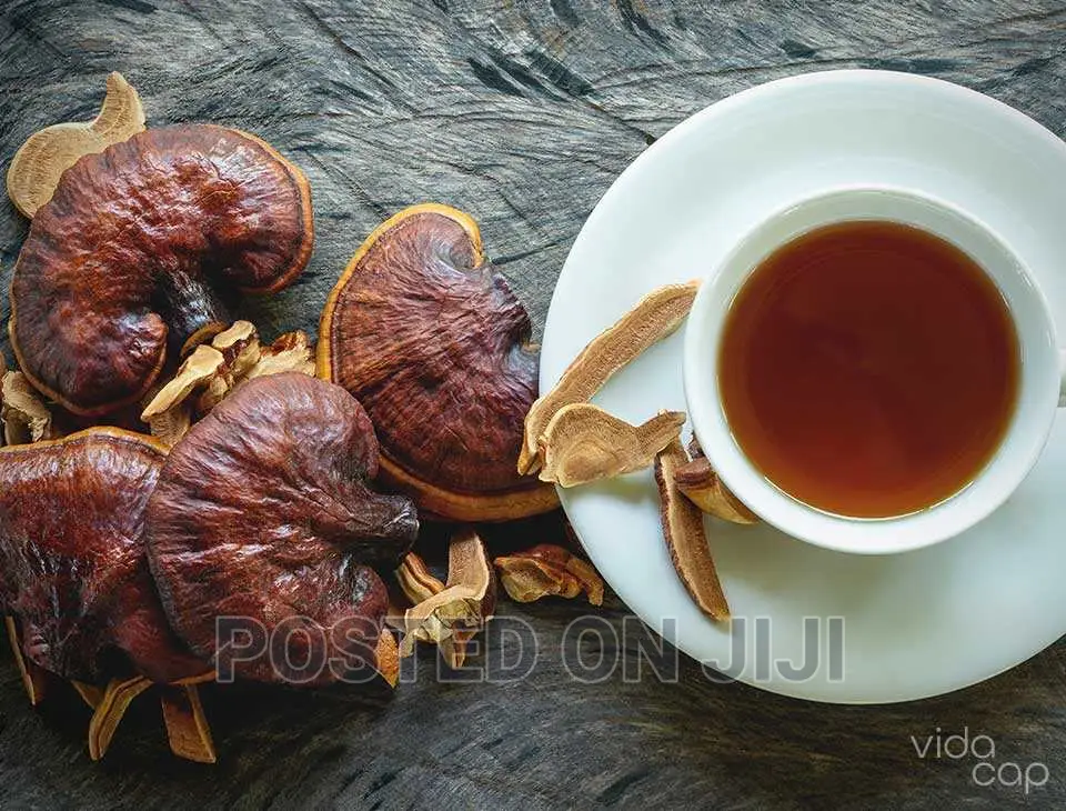Ganoderma Tea