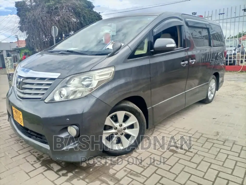 Toyota Alphard 2009 Gray