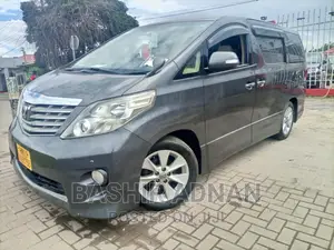 Toyota Alphard 2009 Gray