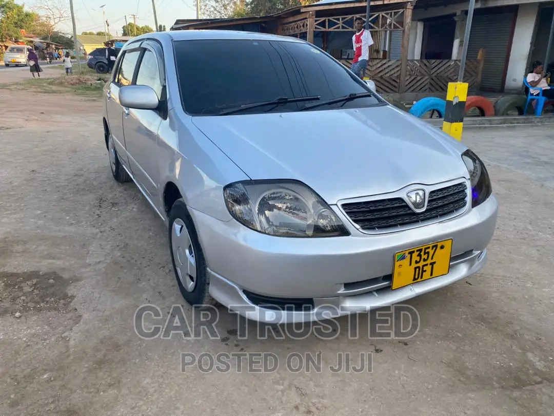 Toyota Allex 2004 Silver