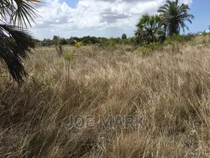 Plot for Sale at Kigamboni