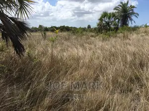 Plot for Sale at Kigamboni