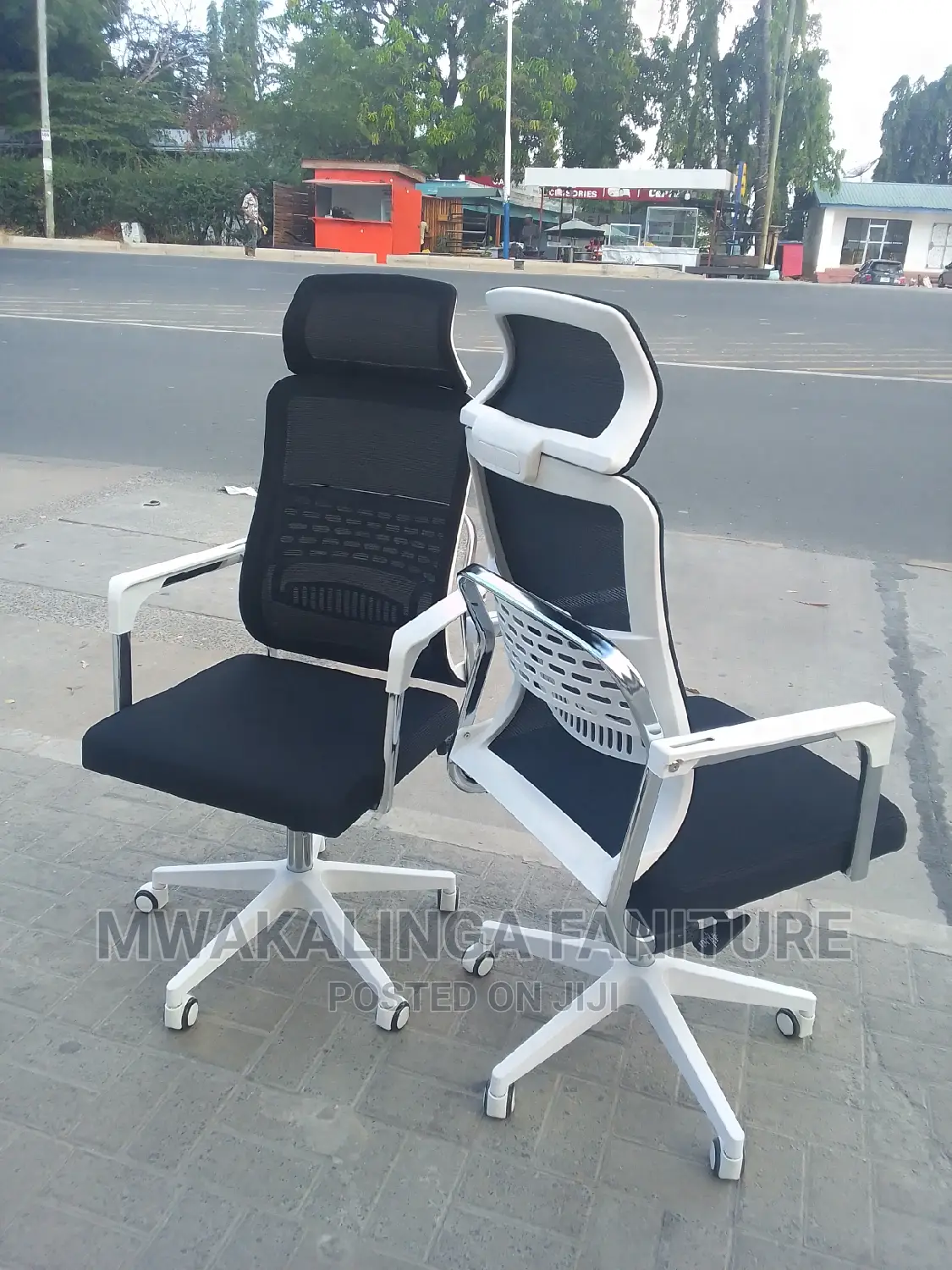 Egnomic Office Chair