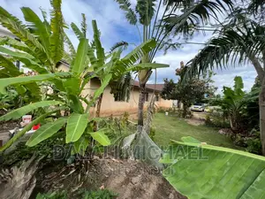 Corner Plot for Sale Mbezibeach *