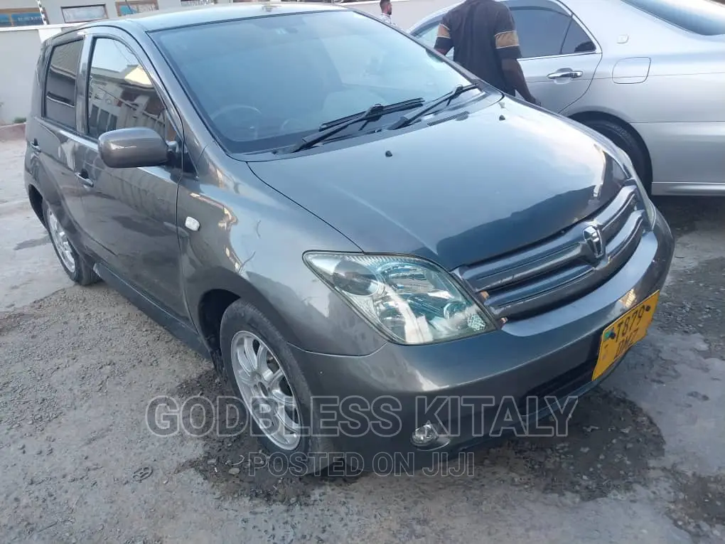 Toyota IST 2004 Gray