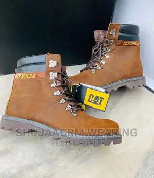 Original Cat New Shoes