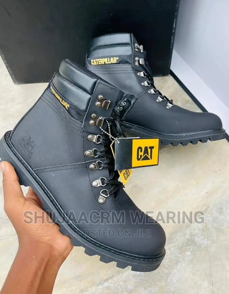 Original Cat New Shoes