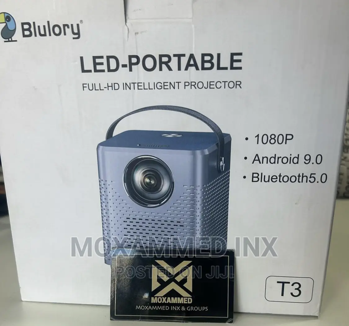 Blulory Projector LED