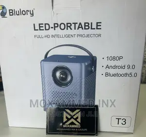 Blulory Projector LED