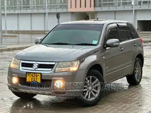 Suzuki Escudo 2007 Gray