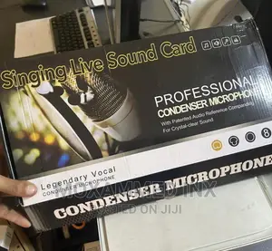 Professional Condenser Microphone