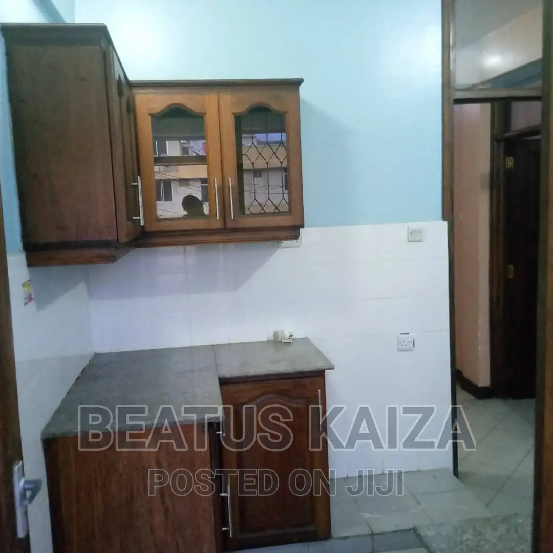 2bdrm Block of Flats in Kariakoo Gerezani for rent