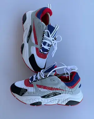 Men's Sneakers Dior