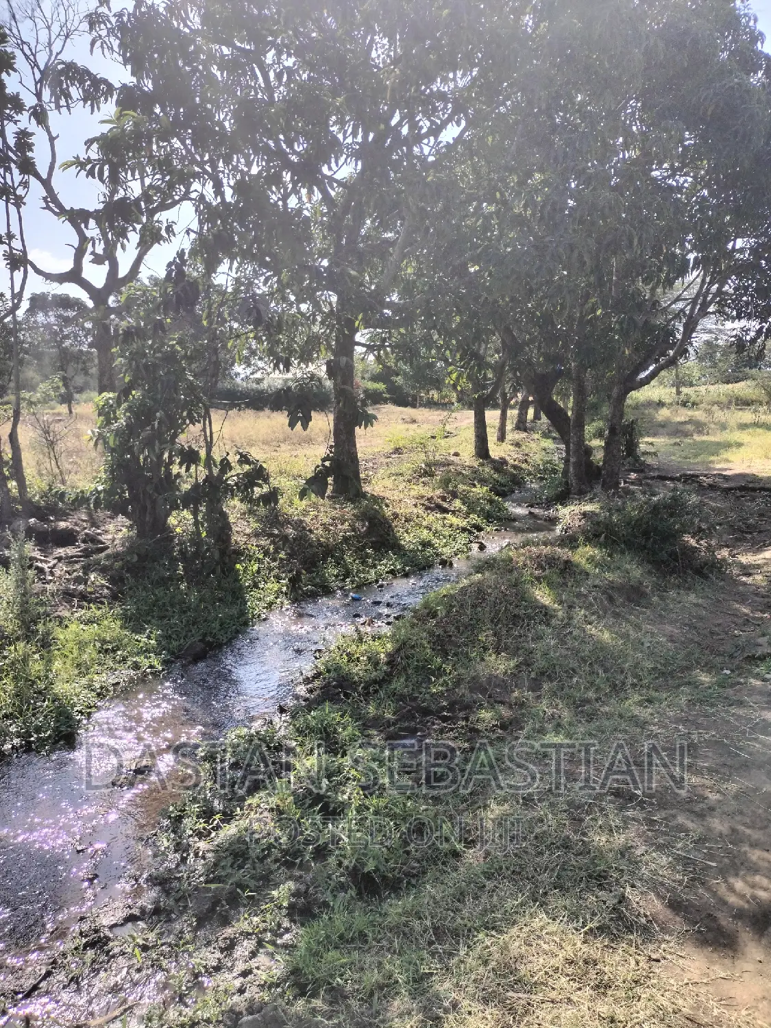 Farms and Land for Sale Arusha and Kilimanjaro in Arusha Land & Plots