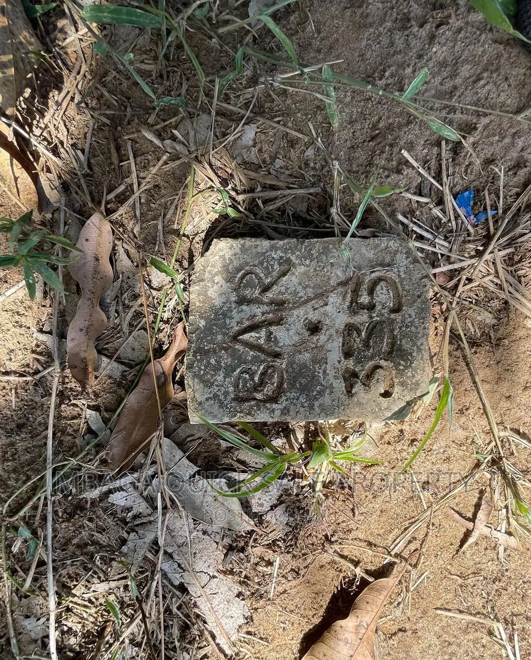 Plot for Sale at Bagamoyo Rd Mapinga