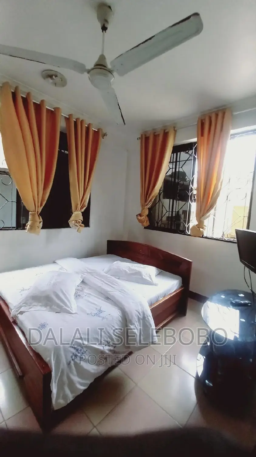 Furnished Mini Flat in Sinza Madukani for rent
