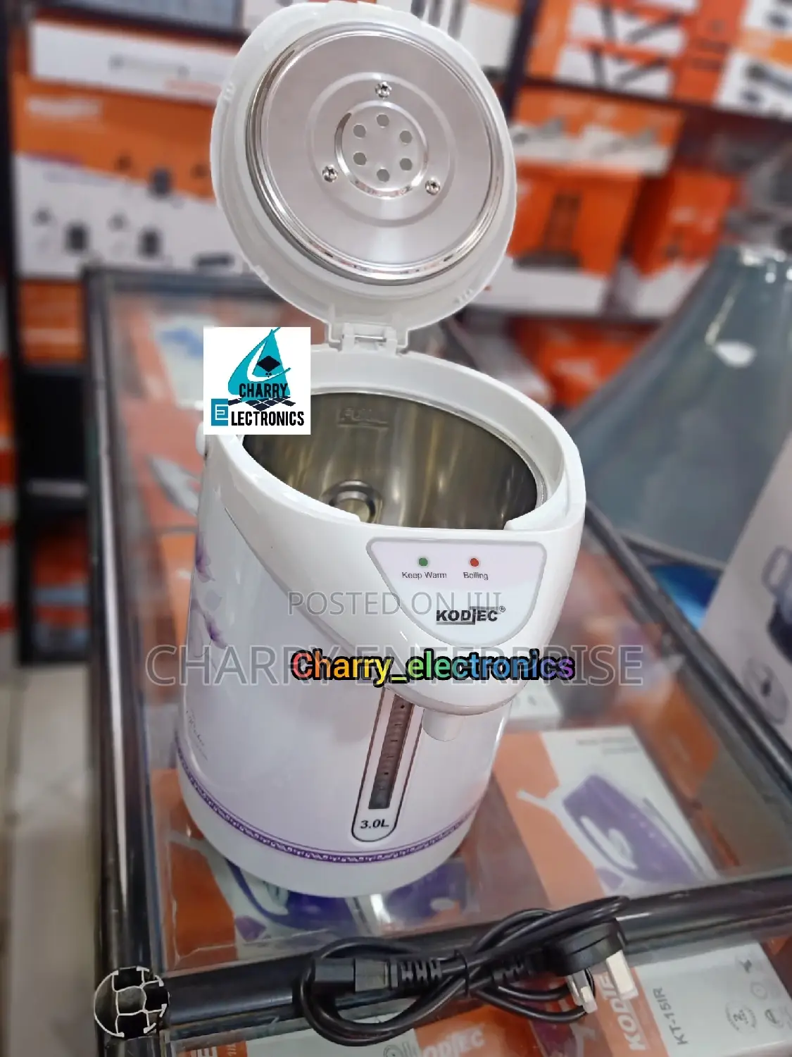 High Quality Electric THERMO POT With Electric Pump/ Tap 3L