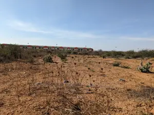 Kiwanja Kinauzwa Kipo Nanenane Dodoma