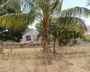 Plot for Sale at Salasala
