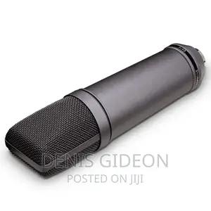 U87 P Microphone Condesor