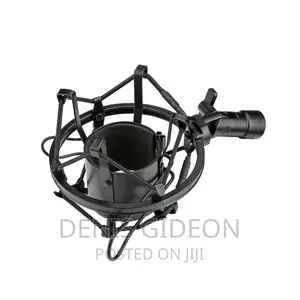 U87 P Microphone Condesor