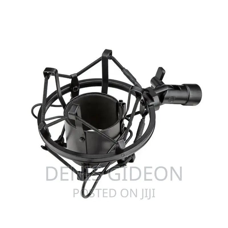 U87 P Microphone Condesor